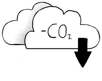 Wie schafft es Ecosia CO2 negativ zu sein? Icon